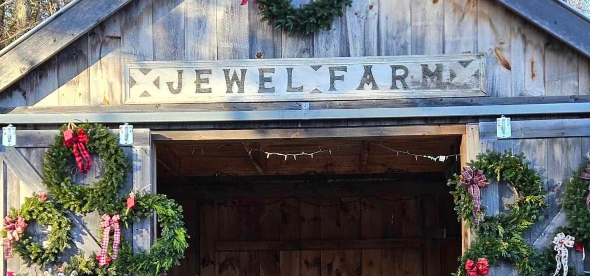 Christmas Tree Farm in New Hampshire